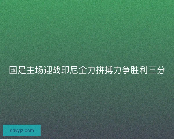 国足主场迎战印尼全力拼搏力争胜利三分