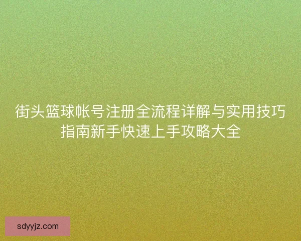 街头篮球帐号注册全流程详解与实用技巧指南新手快速上手攻略大全