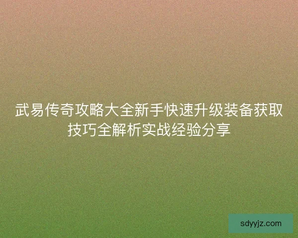 武易传奇攻略大全新手快速升级装备获取技巧全解析实战经验分享