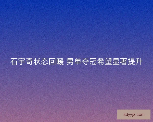 石宇奇状态回暖 男单夺冠希望显著提升 石宇奇状态回暖 男单夺冠希望显著提升