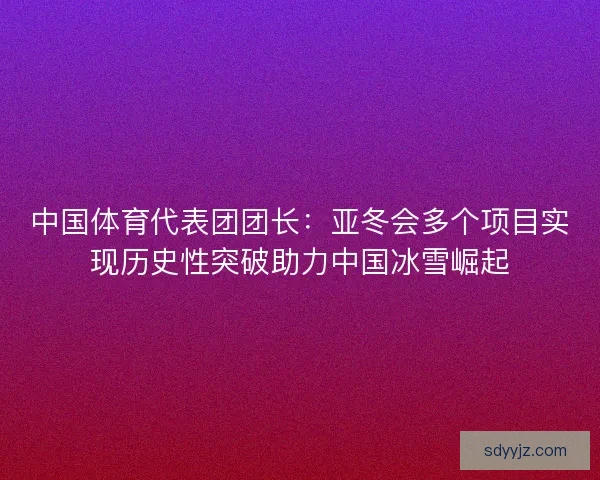 中国体育代表团团长：亚冬会多个项目实现历史性突破助力中国冰雪崛起